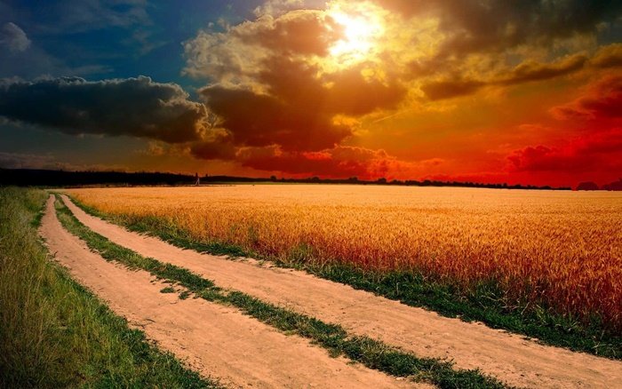 Дорога до Вічності